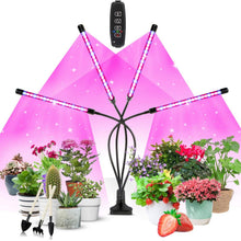 SCHWABENGRÜN Pflanzenlampe LED Grow Lampe Vollspektrum