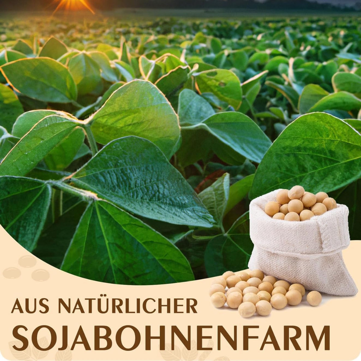 Sojawachs für Kerzen 10kg Premium kerzenwachs zum gießen
