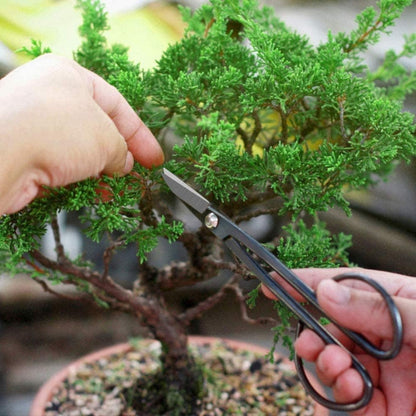 Komplettes Bonsai Werkzeugset 13 Teile mit Scheren Mini Rechen Schaufel und Draht Hochwertiger Stahl und Aluminium Ideal für Einsteiger und Experten