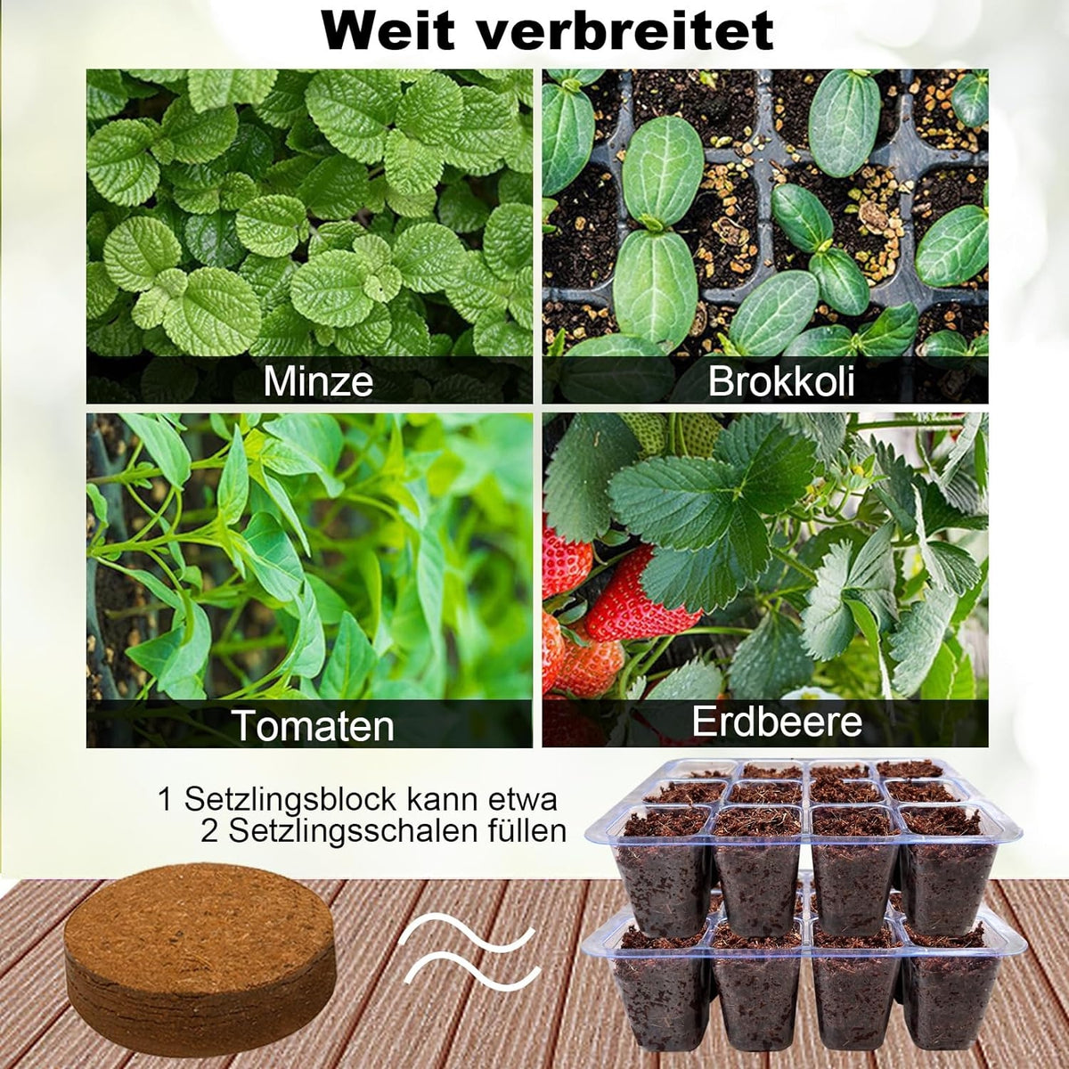 Anzucht Gewächshaus Pflanzkasten 6 Stück Zimmergewächshaus 72 Zellen Set