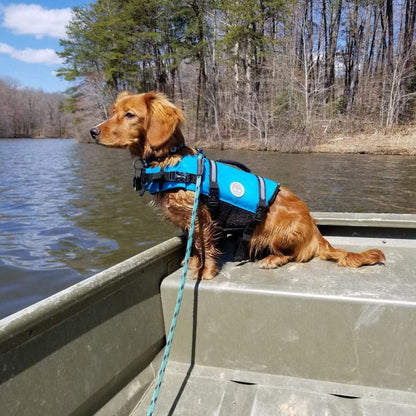 Hunde Rettungsweste Ripstop für Kleine Mittel Große Auftrieb