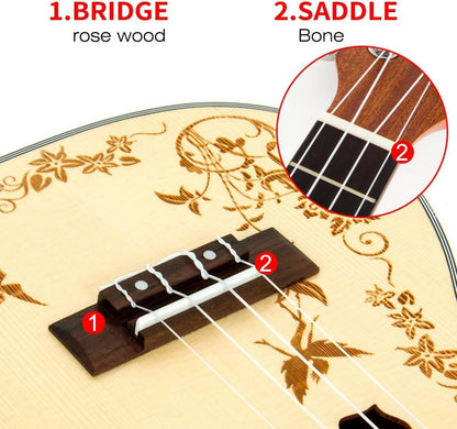 Konzert-Ukulele Starter-Set Fichtendecke Mahagoni Aquila Saiten BU2107