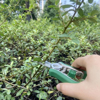 Gartenschere Grün mit Soft-Touch-Griff für Bonsai & Blumen