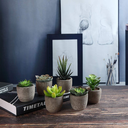 6er Set Kunstsukkulenten im Beton-Optik Topf, naturgetreu & pflegeleicht