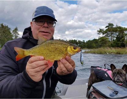 Sougayilang Minnow Angelköder Set harte Köder Forelle Barsch 10Stk
