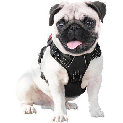 PHOEPET Hundegeschirr, ohne
