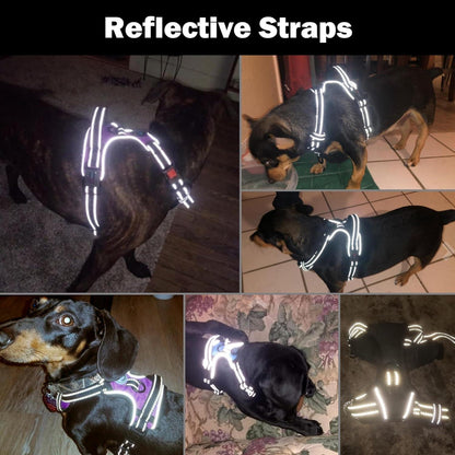 Hundegeschirr ohne Ziehen reflektierend verstellbar 2 Metallringe