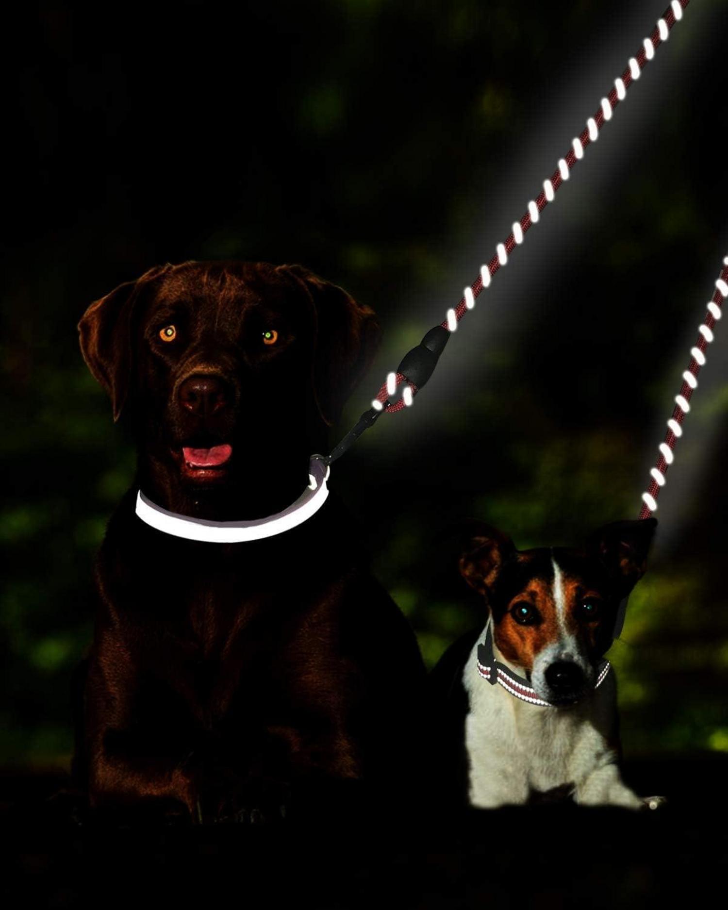Doppelte Hundeleine 2 Hunde Reflektierend Schwarz Kletterseil