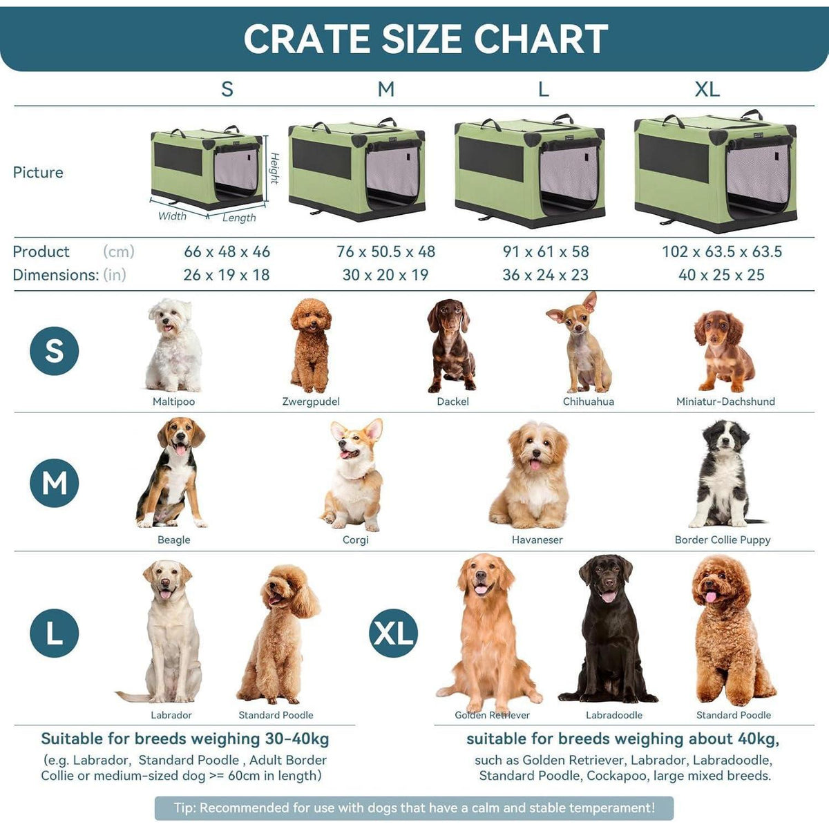 Petsfit Hundebox Reisebox Grün 90x60x59cm – Großer Hund