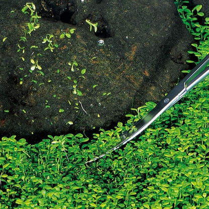 Aquarium Schere 25 cm Edelstahl Gebogene Spitze Wasserpflanze Zange