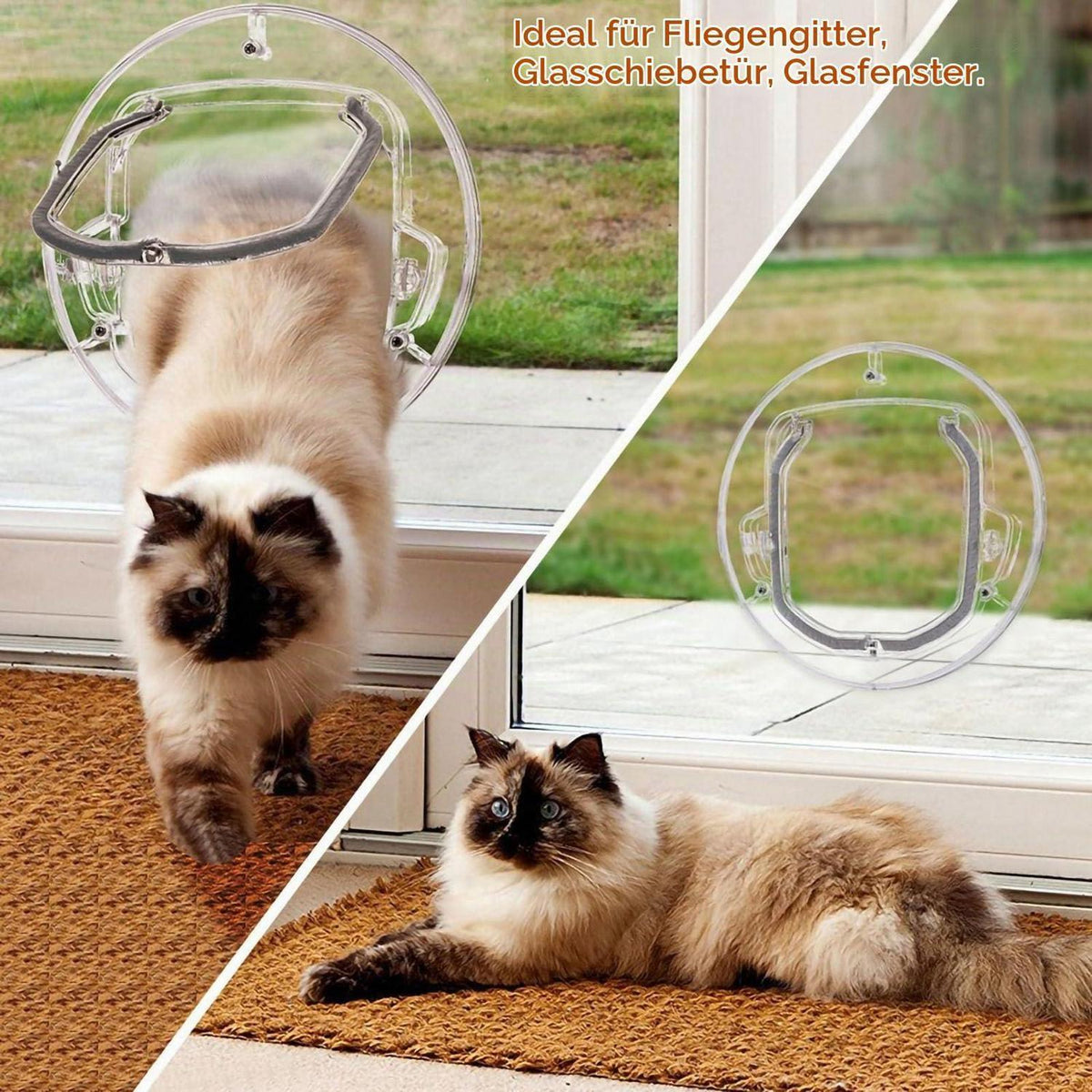 Katzenklappe 4 Wege Verriegelung transparent für Glas & Türen