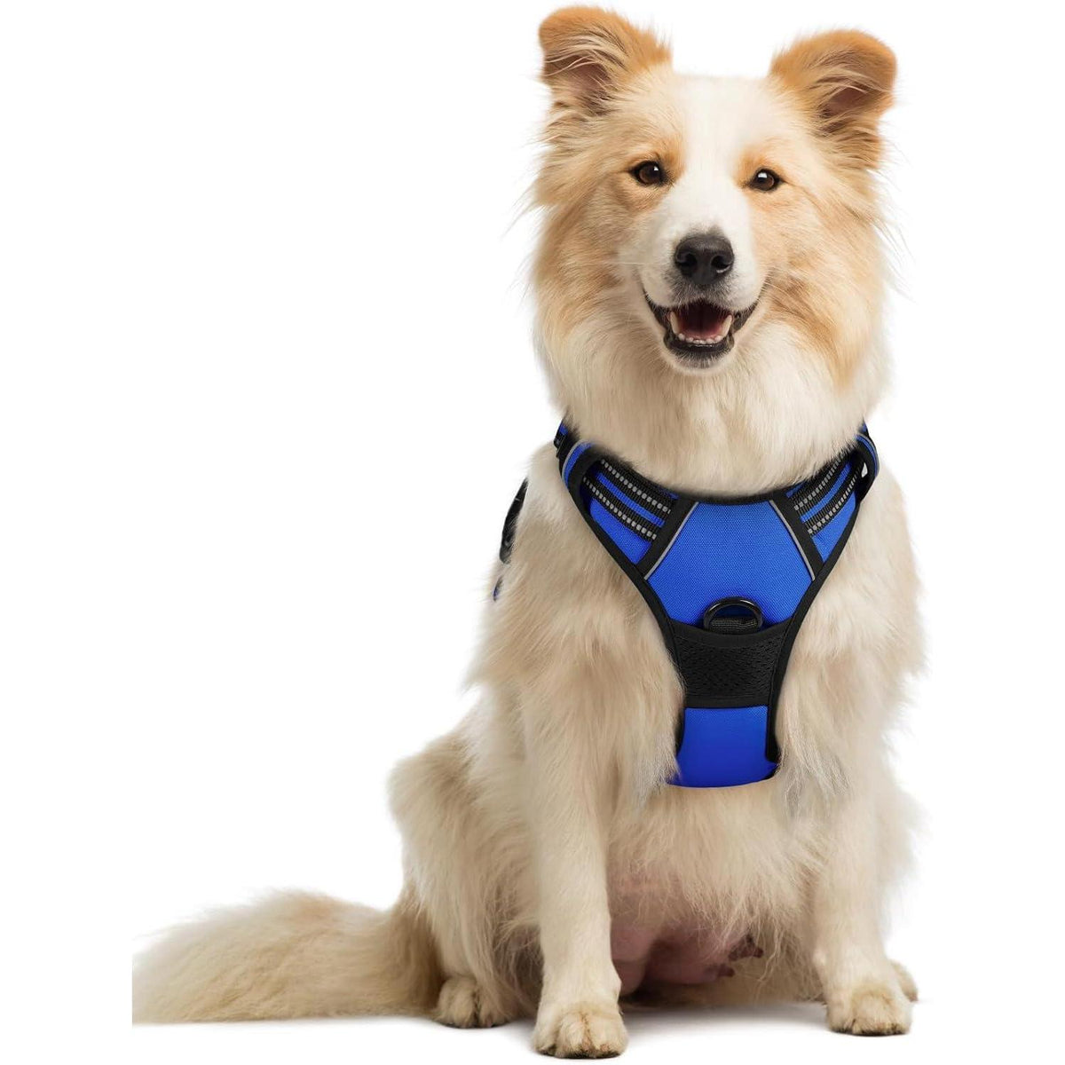 Hundegeschirr Anti-Zug mit Reflektoren Blau M