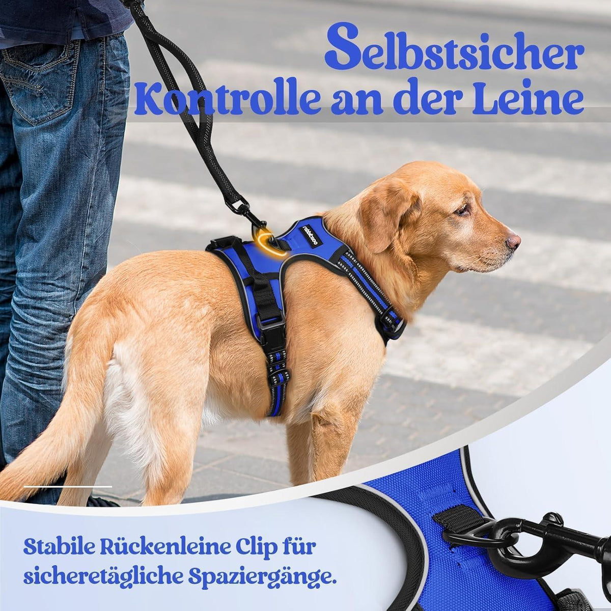 Hundegeschirr Anti-Zug mit Reflektoren Blau M
