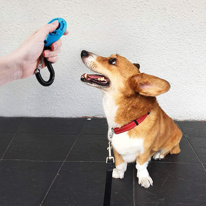 Toozey Hunde Clicker Trainings Klicker Großer Knopf Orange Rot Gelb Blau Schwarz