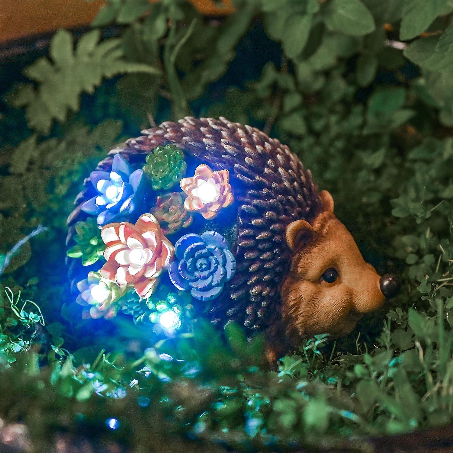 Gartendeko Solarleuchte Igel LED Sukkulenten Kunstharz Terassen Balkon