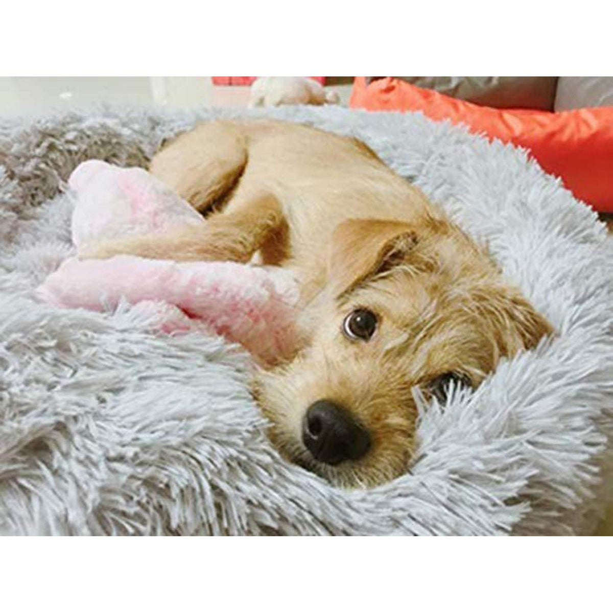 Rundes Hundebett Deluxe Plüsch XXL 120cm Grau