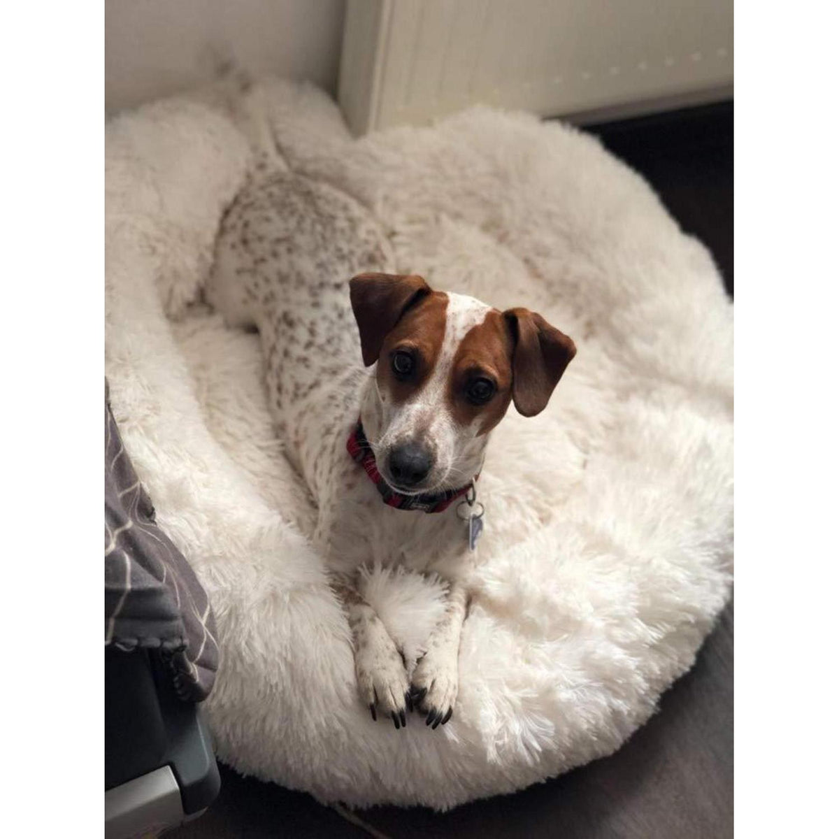 Rundes Hundebett Deluxe Plüsch XXL 120cm Weiß