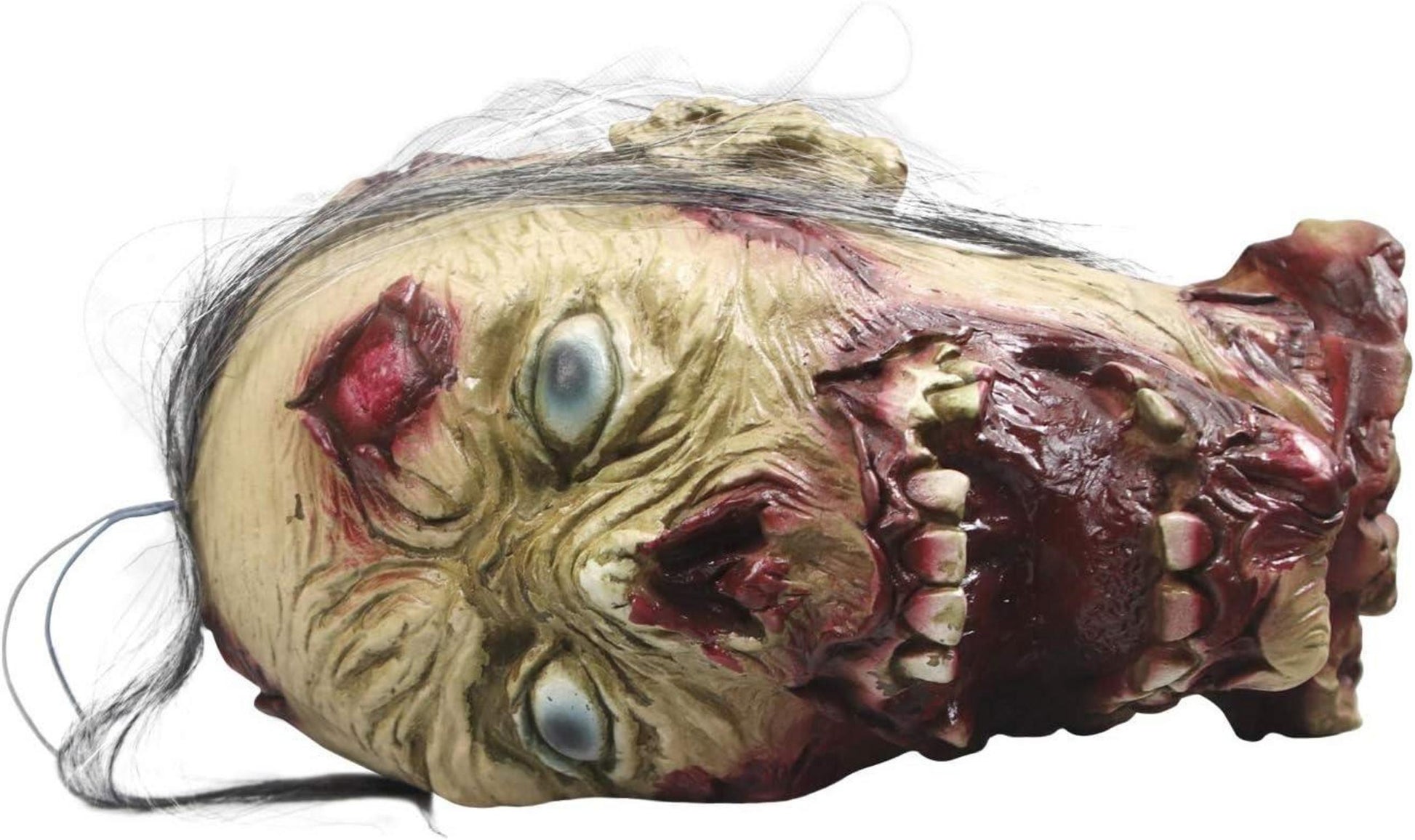 Realistischer Halloween Zombiekopf mit abgetrenntem blutigem Hals und Perücke