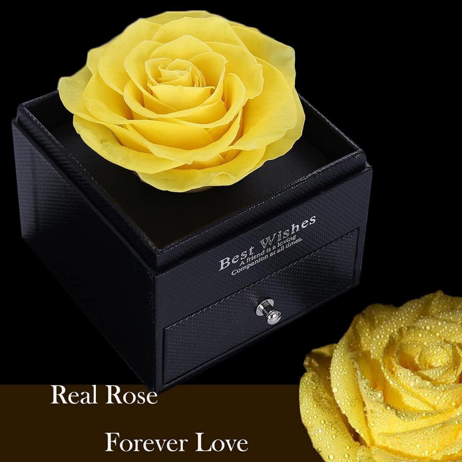 Ewige gelbe konservierte Rose mit Brosche, Geschenkbox für