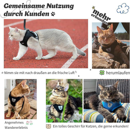 Supet Katzengeschirr Weiches Geschirr mit Leine für Katzen Welpen M Grau