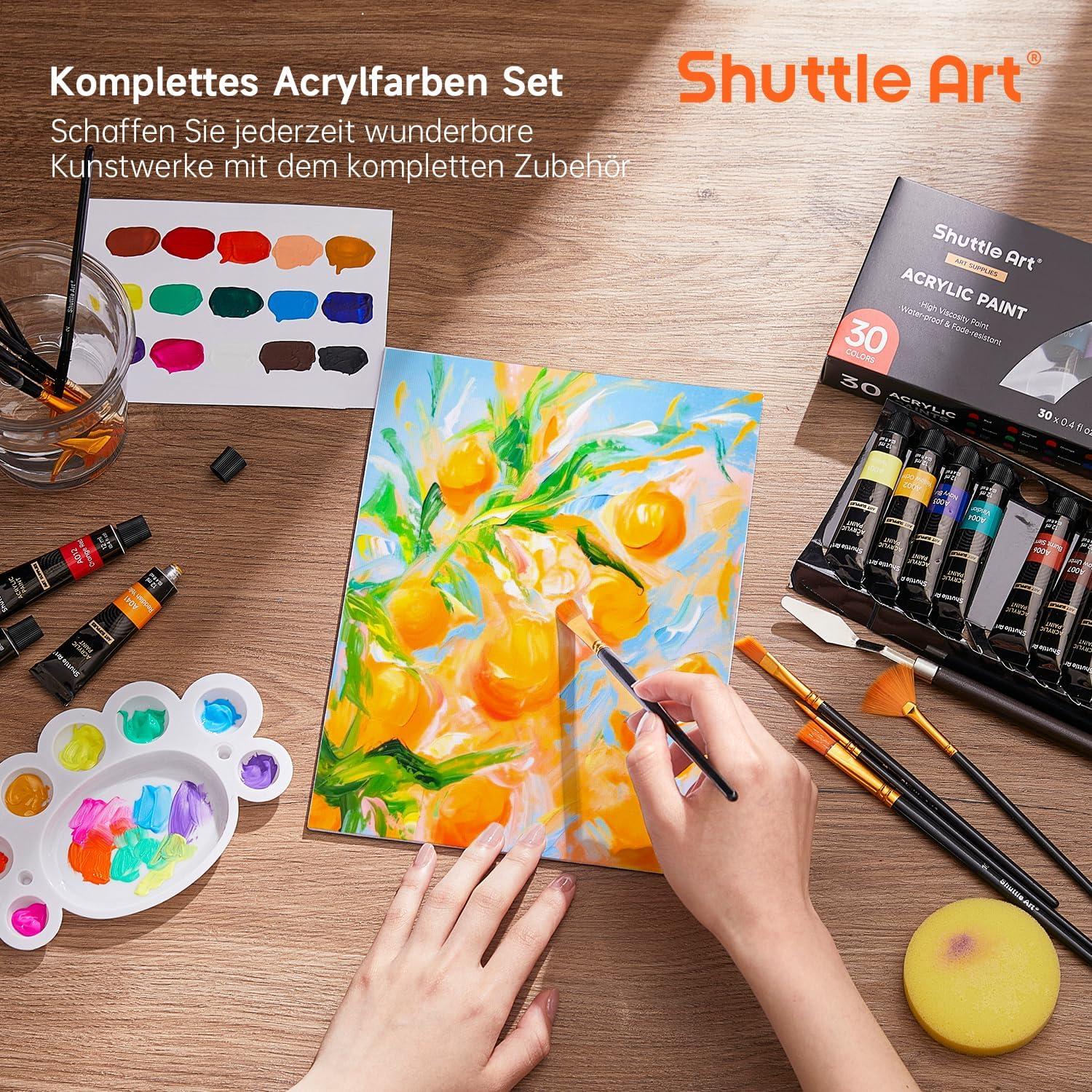Acrylfarben Set 46-teilig 30 Farben Pinsel Leinwände Palette