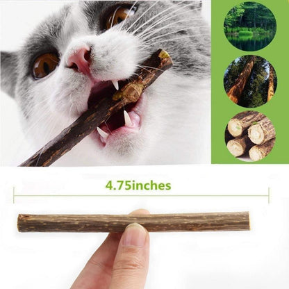 30 Katzenminze Sticks Matatabi Zahnpflege Katzenspielzeug