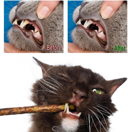 30 Katzenminze Sticks Matatabi Zahnpflege Katzenspielzeug