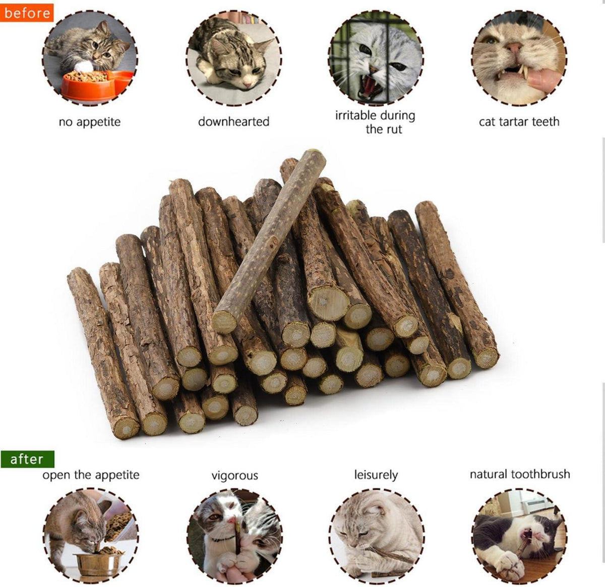 Katzenminze Sticks Matatabi Kauhölzer Katzenspielzeug 30 Stk 12 cm