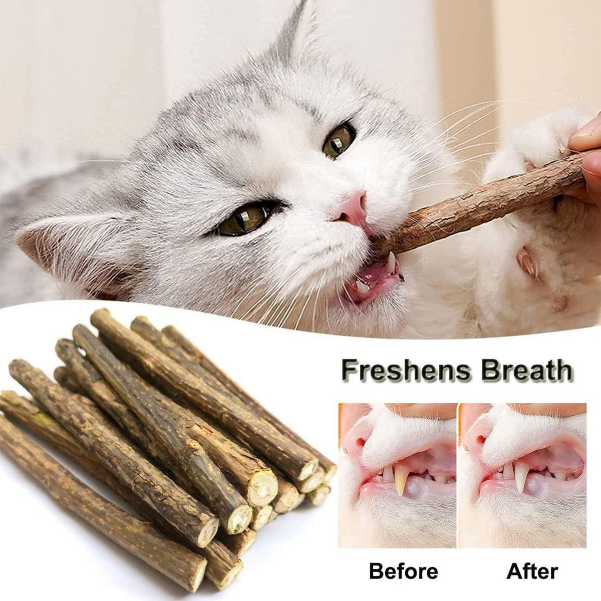 30 Katzenminze Sticks Matatabi Zahnpflege Spielzeug Zähne