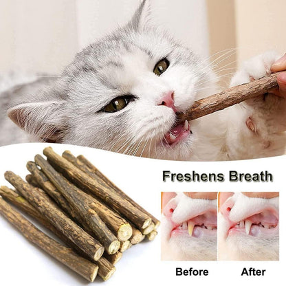 30 Katzenminze Sticks Matatabi Zahnpflege Spielzeug Zähne