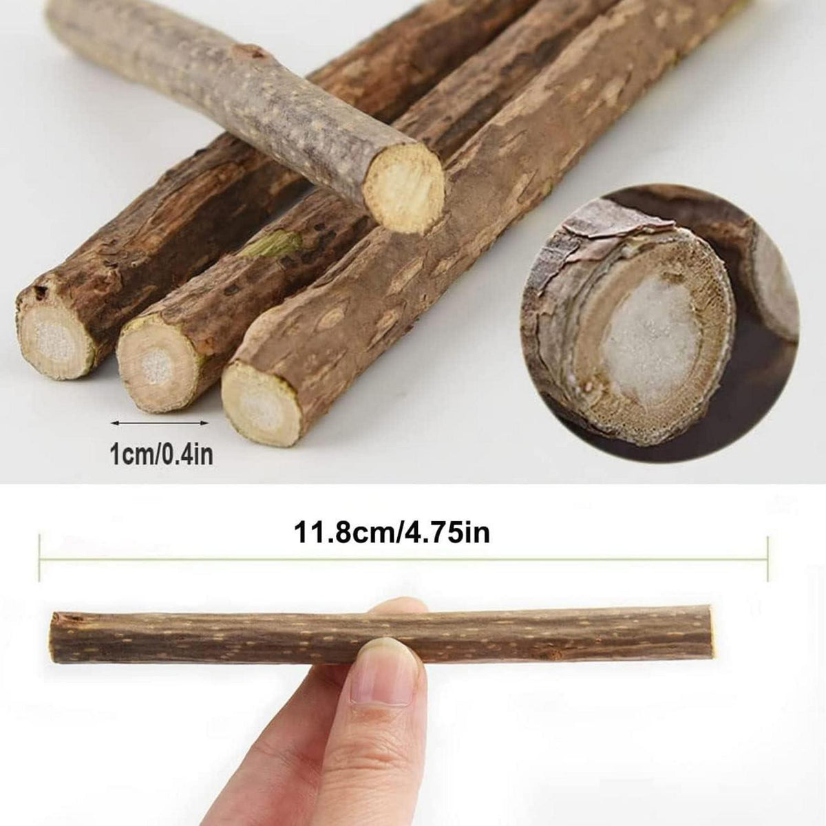 Katzenminze Sticks Matatabi Kauhölzer Zahnpflege Spielzeug