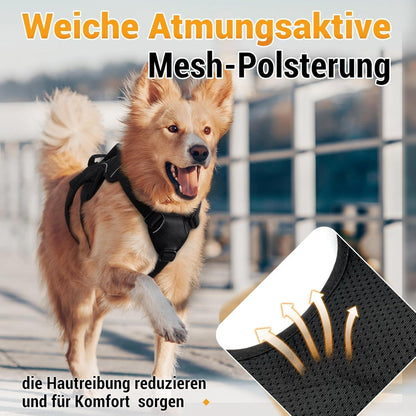 Ausbruchsicheres Hundegeschirr für mittelgroße Hunde