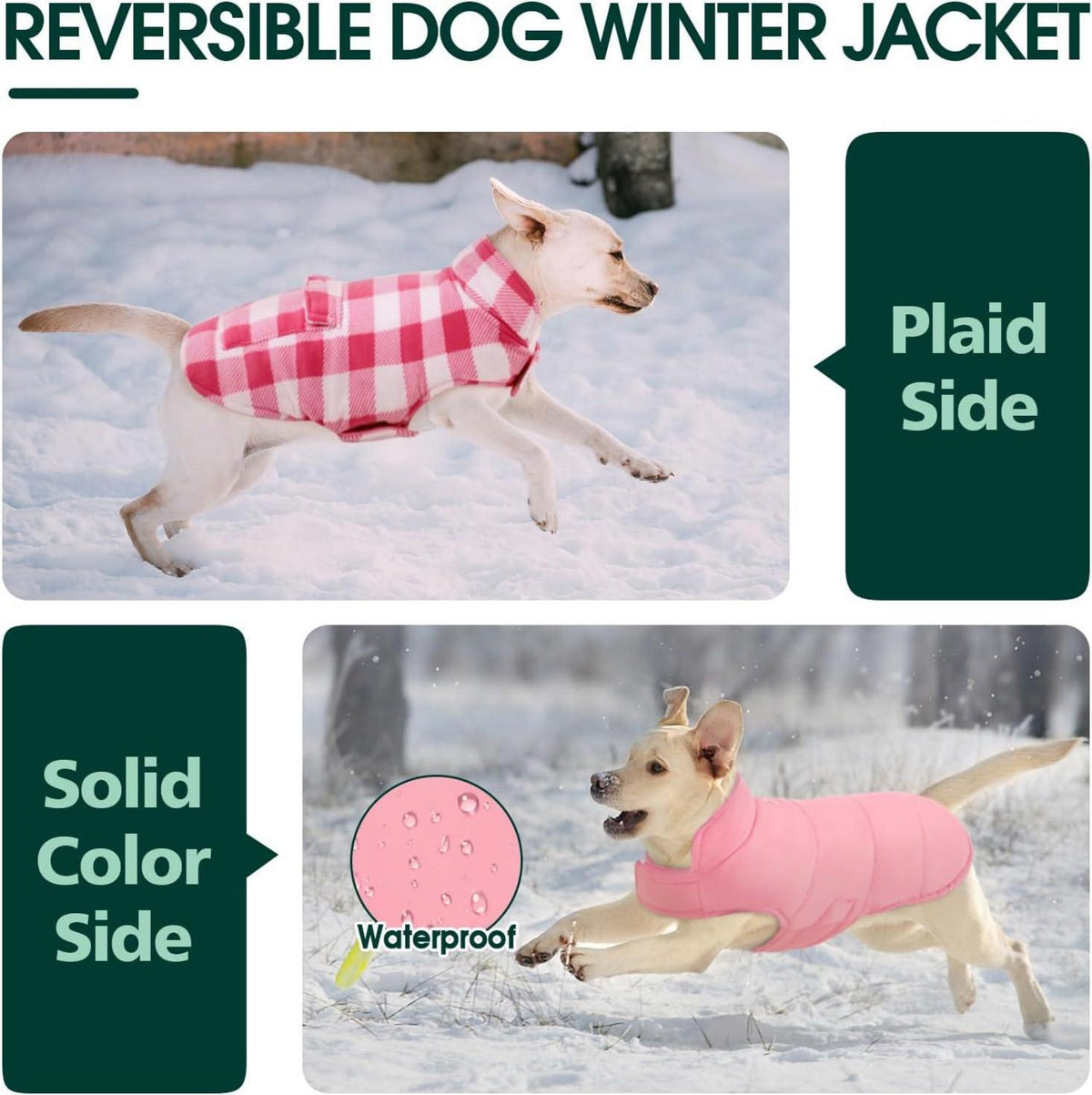Kuoser Hundemantel Winter Wasserdicht mit Geschirr Loch S Rose