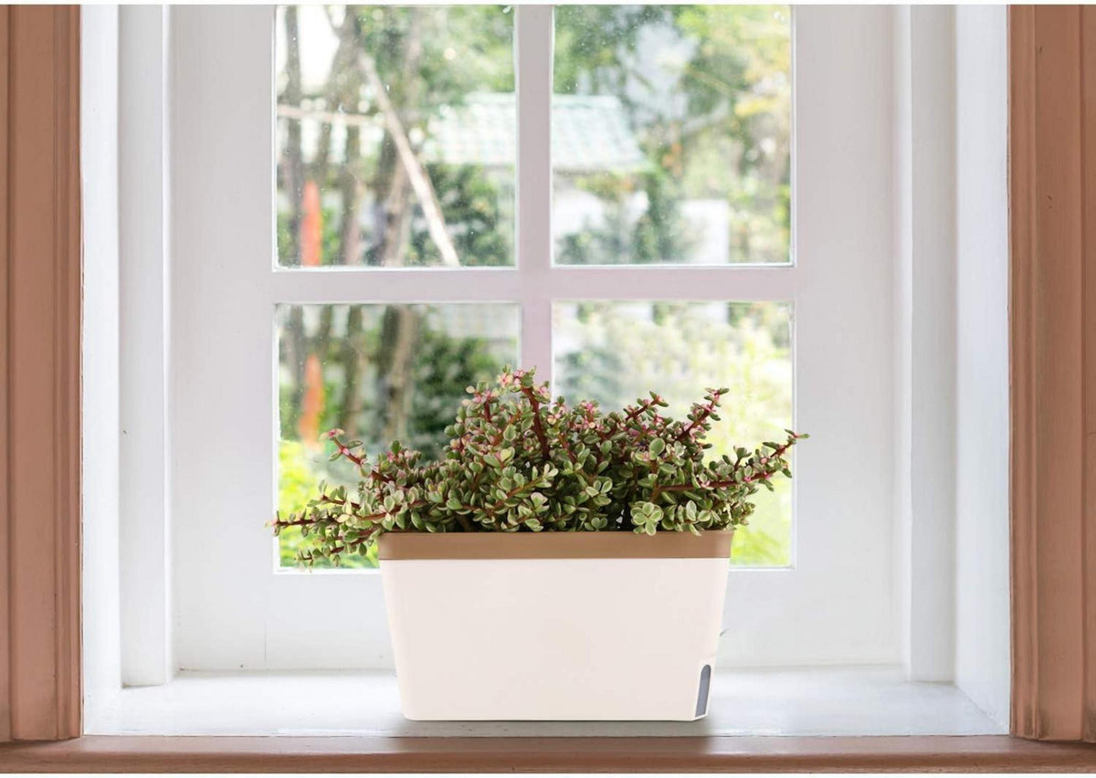 3er-Set Selbstwässernder Blumenkasten Kräutertopf Braun 27cm