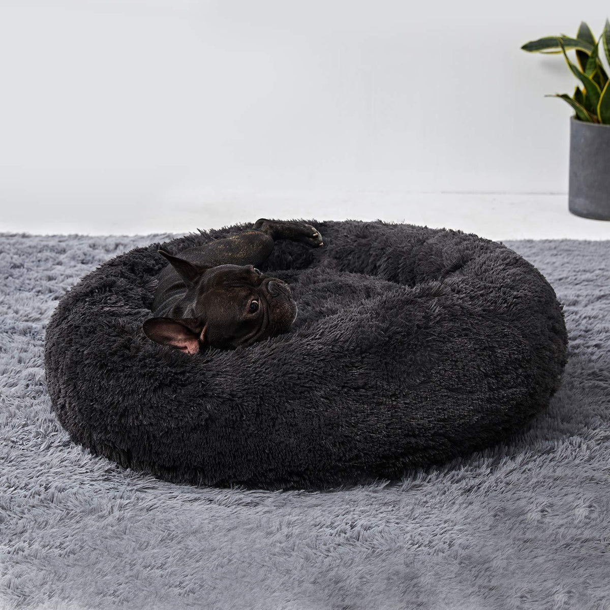 Flauschiges Hundebett Dunkelgrau XXL – Abnehmbar & Waschbar