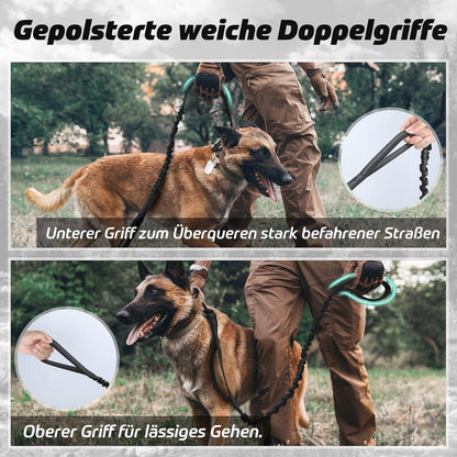 Bungee Hundeleine mit Reflektierenden