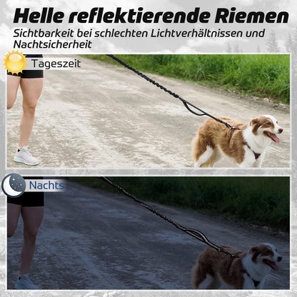 Starke Bungee Hundeleine mit Reflektierenden Streifen Schwarz 114-158cm
