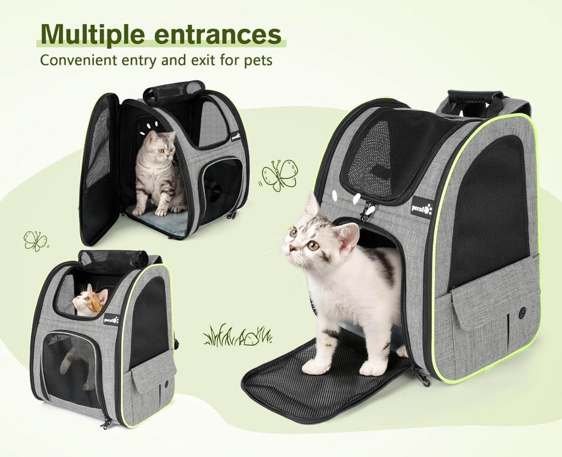Hunderucksack Erweiterbar Katzenrucksack Große Katzen Rucksack Hund