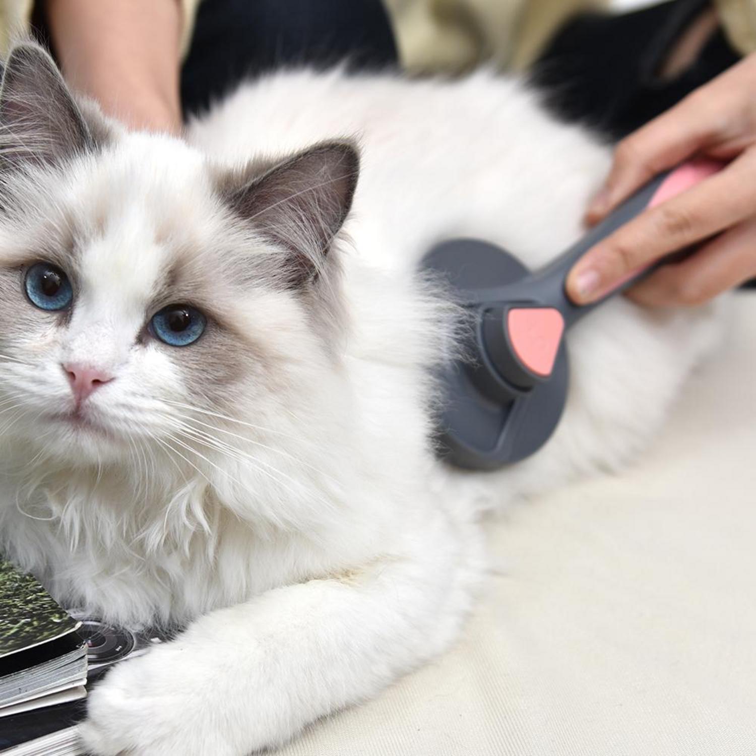 Haustierbürste für Katzen und Hunde mit langen Haaren - Grün