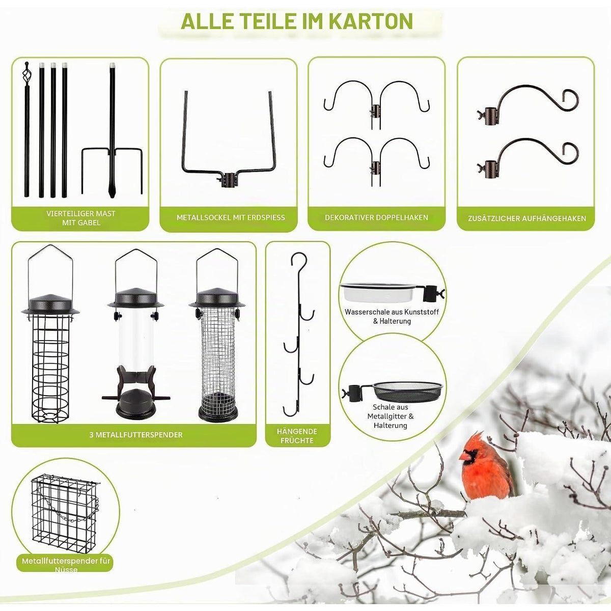 Vogel Futterstation Set mit Ständer – 238cm Höhenverstellbar