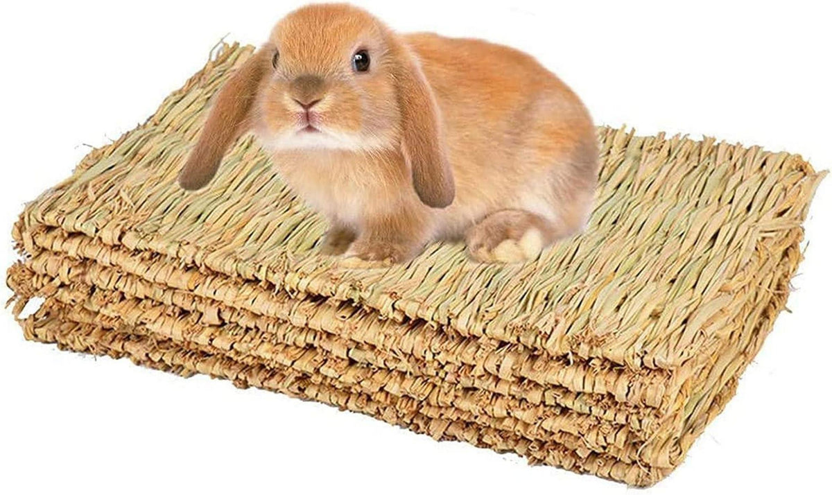 Grasmatte für Kaninchen und Kleintiere, 4 Stück