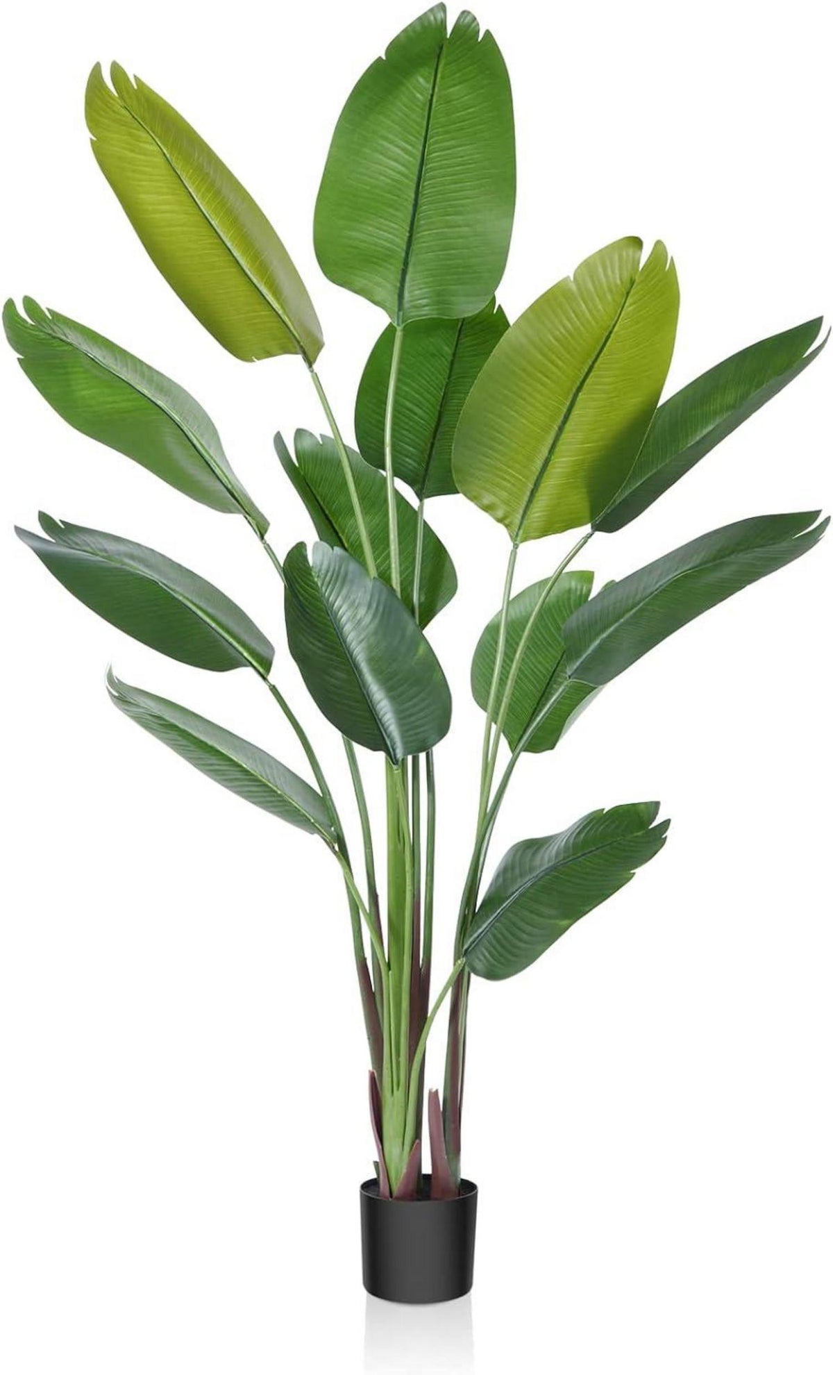 Künstliche Paradiesvogel Pflanze 180cm Tropische Palme 13 Blätter