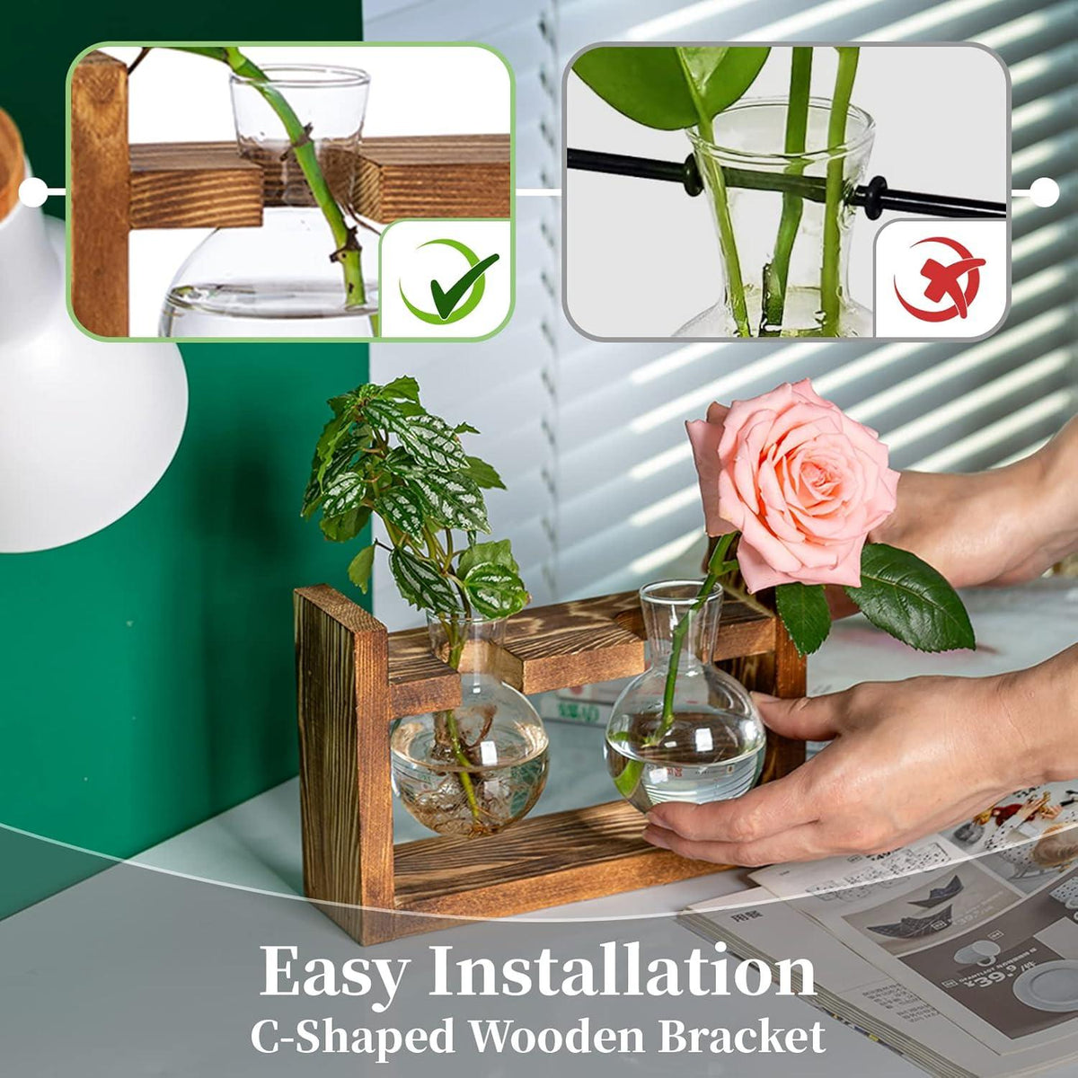 Vermehrungsstation Glühbirne Avocado Vase Terrarium Glas Holzregal