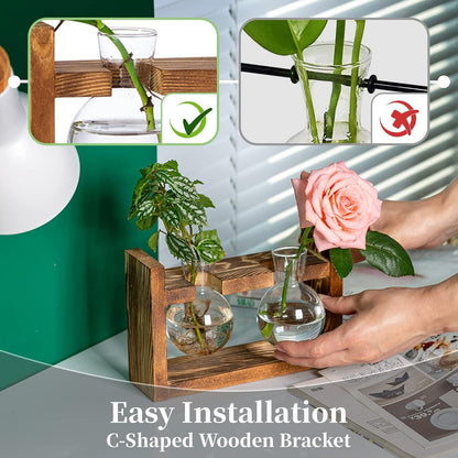 Vermehrungsstation Glühbirne Avocado Vase Terrarium Glas Holzregal