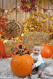 RUINI Herbstparty Hintergrund Holztafel Kürbis Babyparty