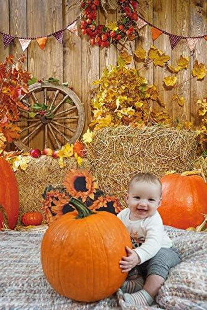 RUINI Herbstparty Hintergrund Holztafel Kürbis Babyparty