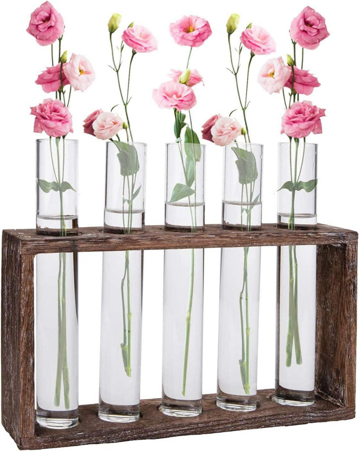 Jucoan Reagenzglas Vase 5 Rohr Hydrokultur Pflanzen Glas Holz Halter