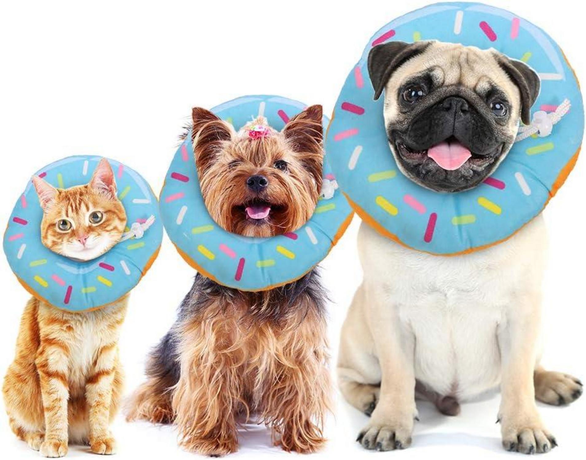 Xinzistar Katzen Halskrause, Weiches Schutzkragen Blau Donut M