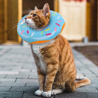 Halskrause Katzen Halsband Soft Weich Schutzkragen Anti Biss
