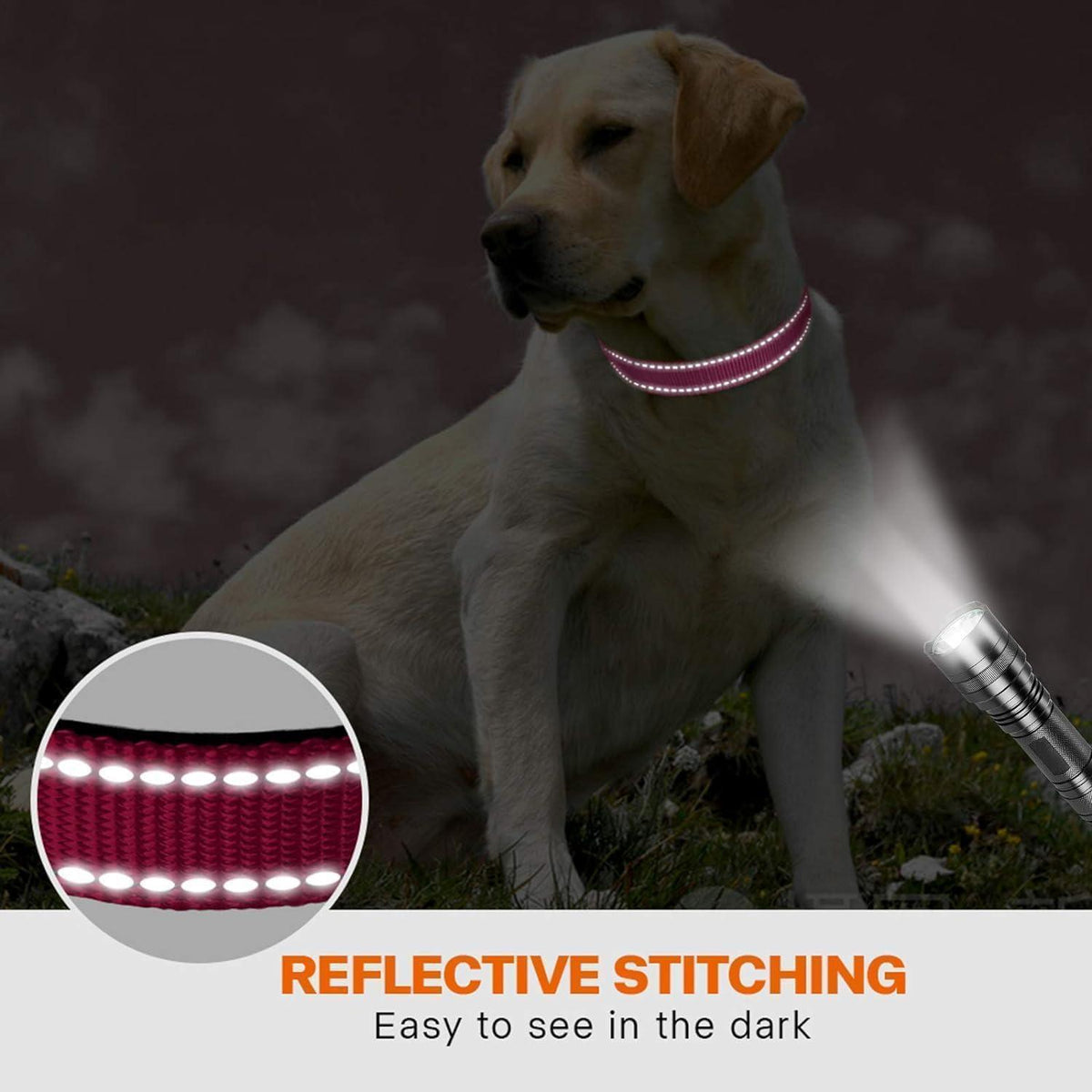 Hundehalsband Neopren Gepolstert Verstellbar Reflektierend S Hot Pink